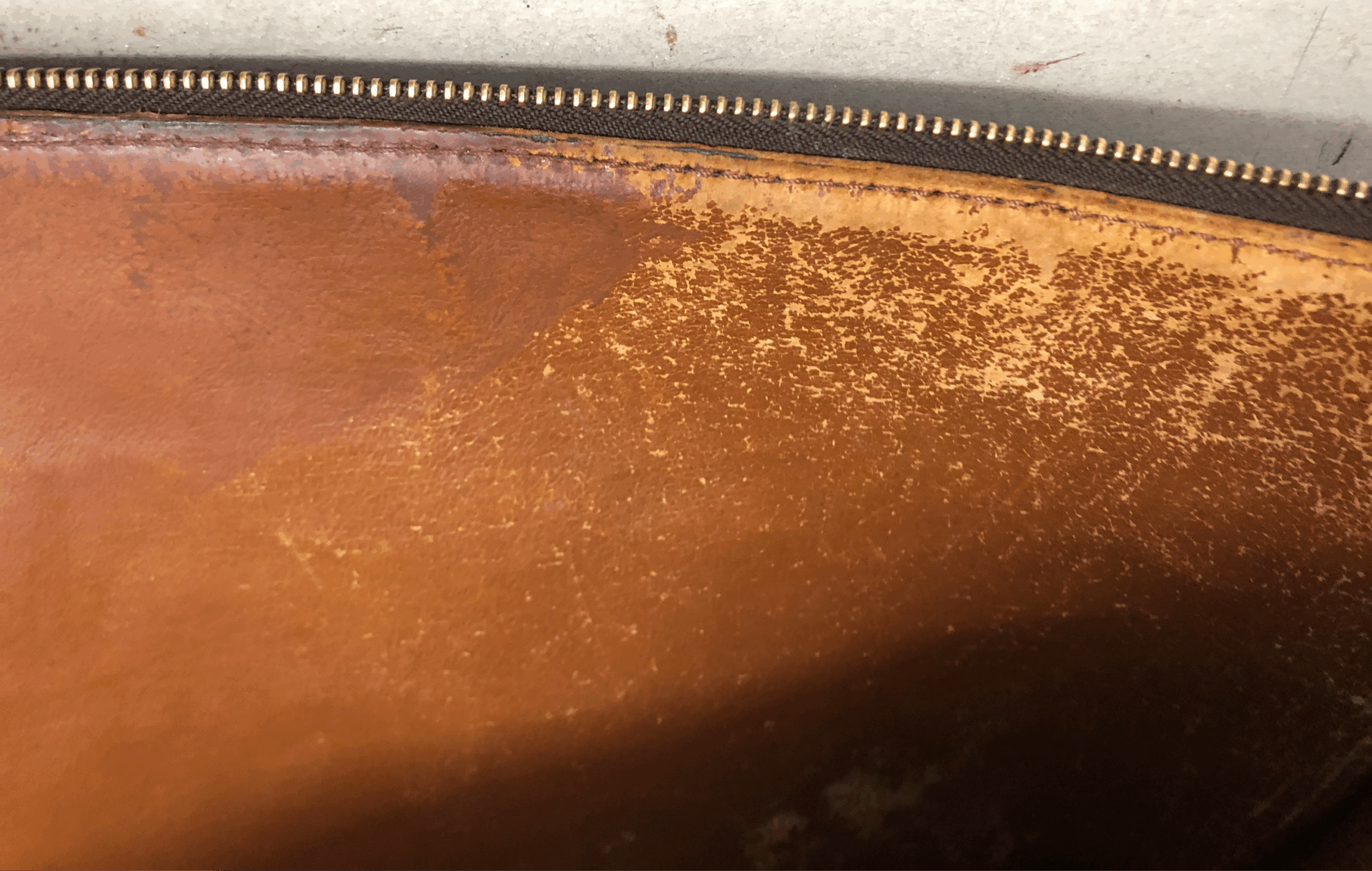 P. Document 39 Restaurierung 