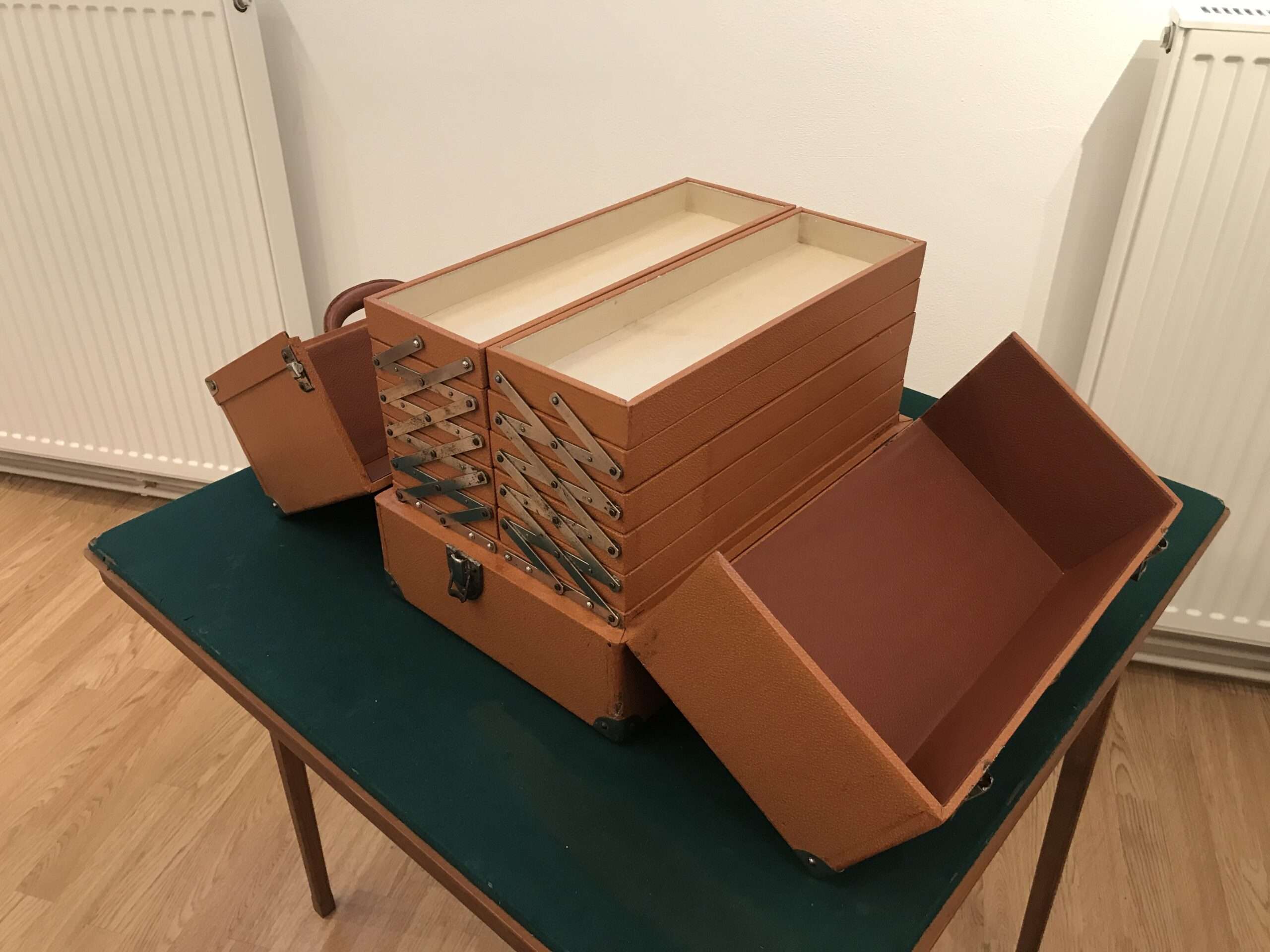 Seltene Marmottefarbe